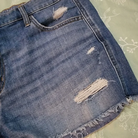 Aerie Blue Distressed Jean Shorts with Frayed Hem - Picture 4 of 8